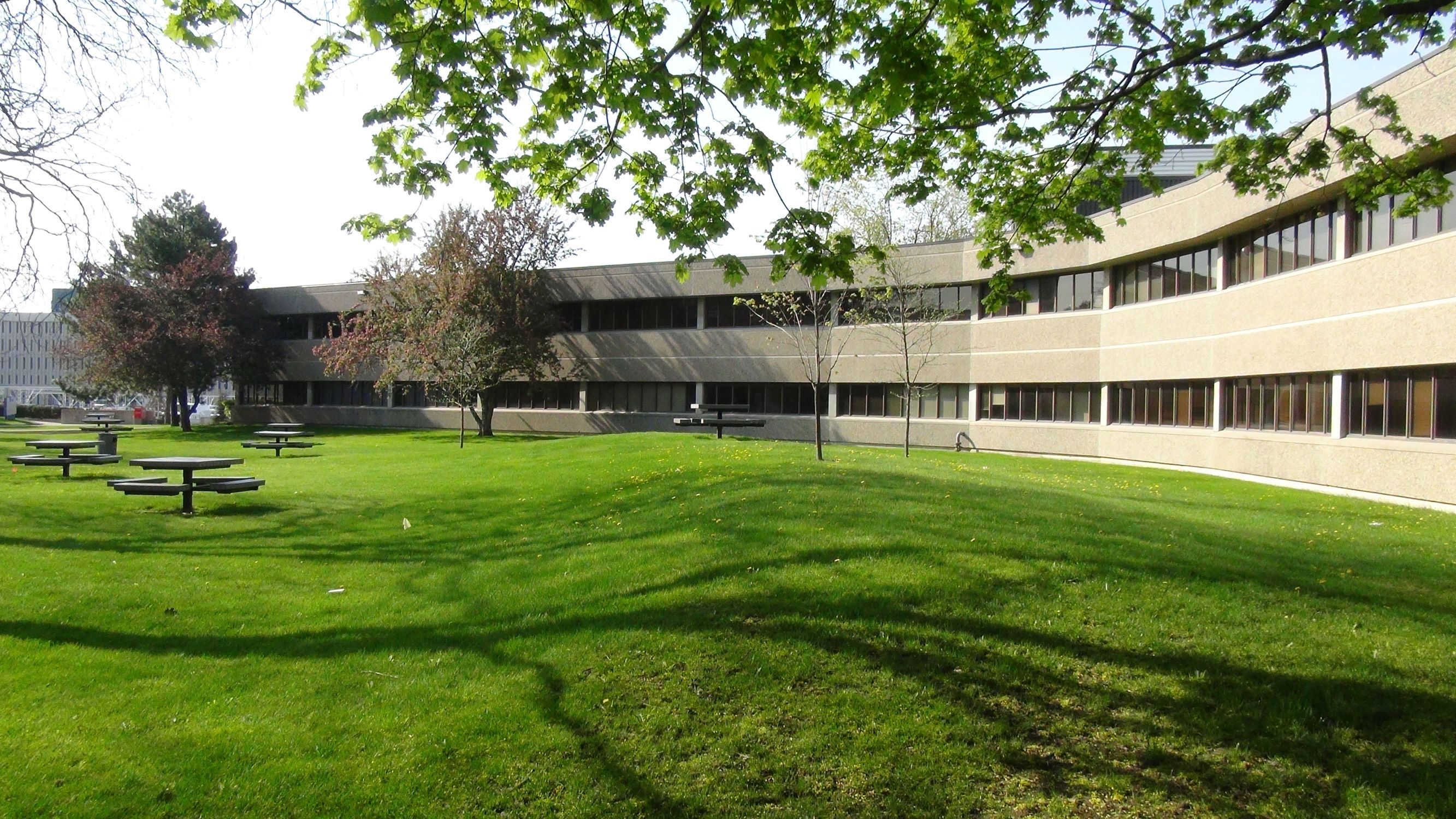 ICEAP - International Centre for English Academic Preparation (Toronto)